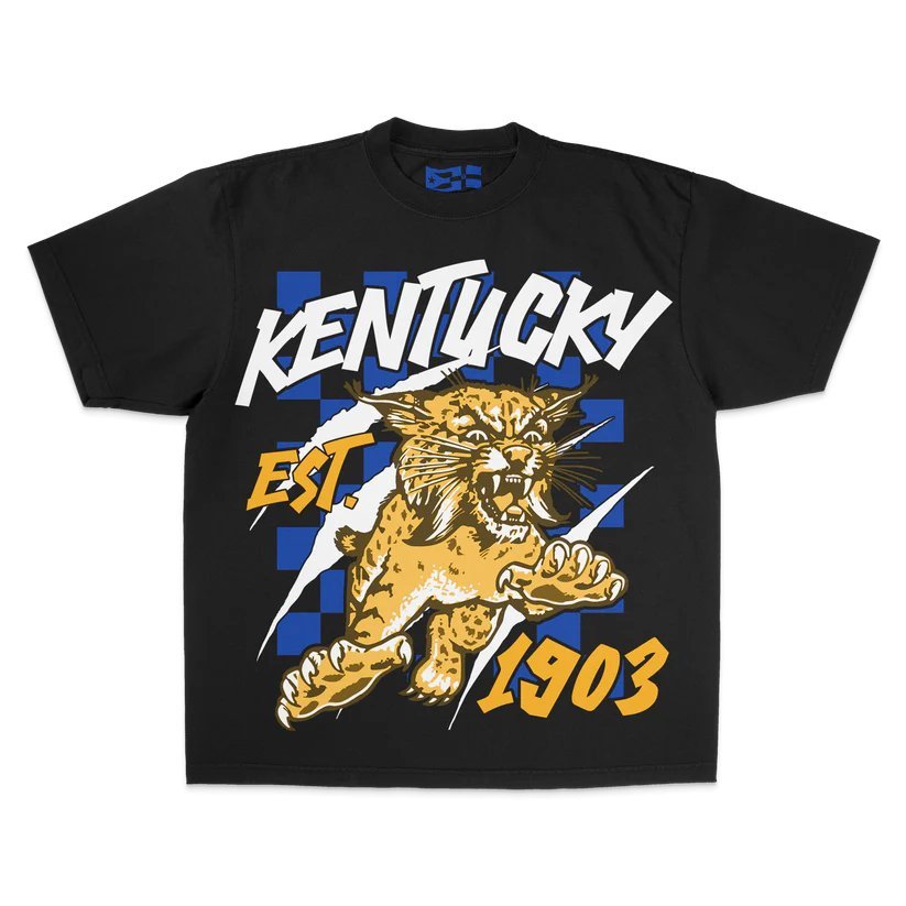 Kentucky Wildcats Heavyweight tee - VOTYAirline.BR